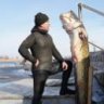 Тамбовскийволк