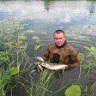 ПВшник