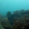 seaduction