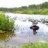 Subamir