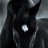 LORD-84748