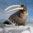 nordseal