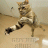 crazycat