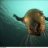 zazanozaz