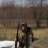 Kelt1004