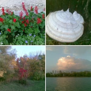 Астрахань