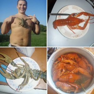 раки !
