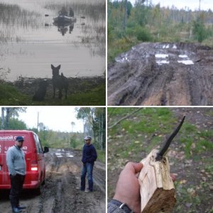 Охота на Ладоге и в Карелии