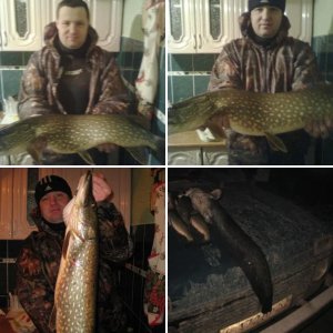 результаты охот