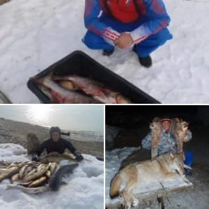 подводник