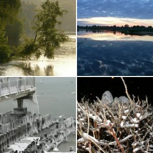 Красота спасёт...........и всё остальное!