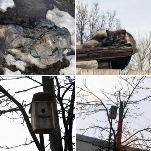 Немного весны.
