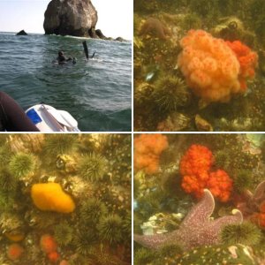 Камчатка Апрель