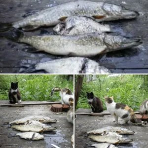 Конец запрета
