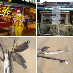 Тай  2010
