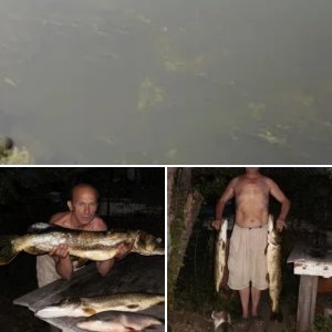 Четверг рыбный день
