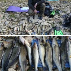 Уфимка 2 октября