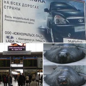 усцался