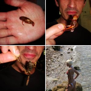 Тай 2010 декабрь.