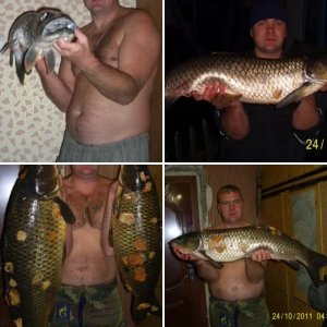 Мои охоты