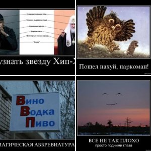 прикольные фотки