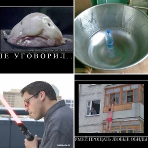 Приколы