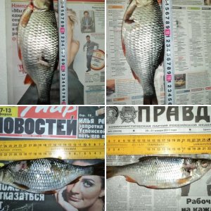 За мегаплотвой!!!