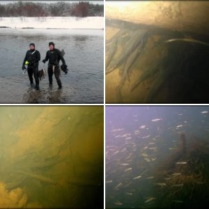 Подводно-надводное фото