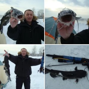 Первый сом (правда канальный)