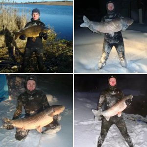 Мои трофеи