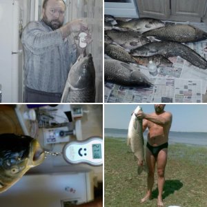 Сезон 2011