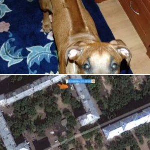 Разное