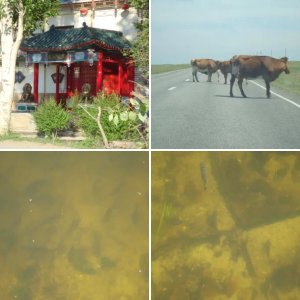 раздолбай 2011
