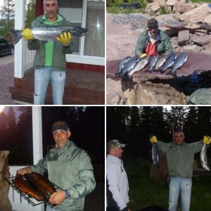 Онега, лосось)