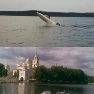 СЕЛИГЕР
