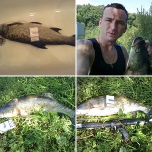 Первый зачётный рып!