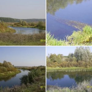 река Воронеж