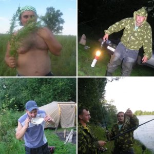 Сухопутка