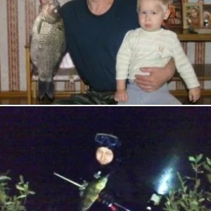 Трофеи