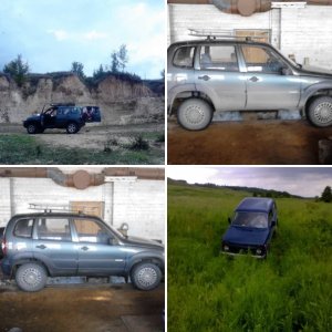 Кони наши