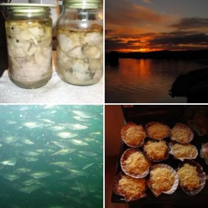 НОРВЕГИЯ 2011
