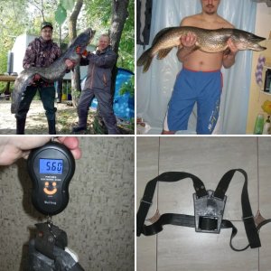 Всякие разные фотки
