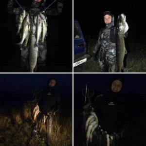 Охоты и встречи