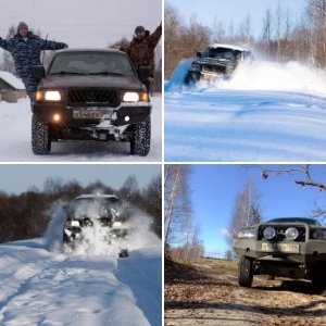 мой бегемот