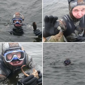 10.10.11_Мурманск_Семечка
