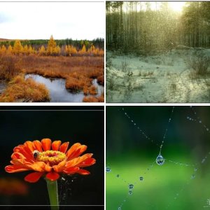 Природа, как я ее вижу