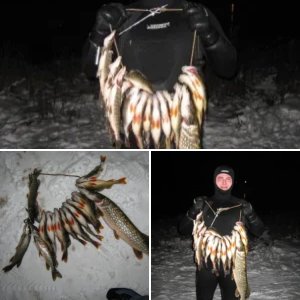 Новогодние нырялки