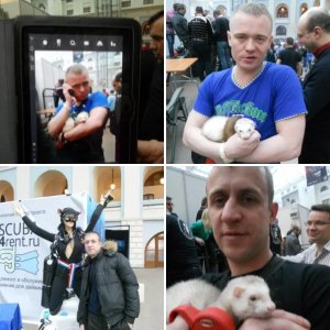 ЗОЛОТОЙ ДЕЛЬФИН 2012