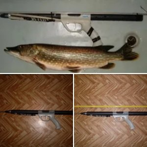 Ружье