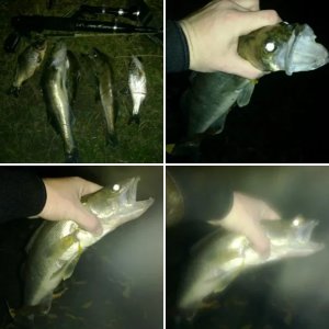 начало